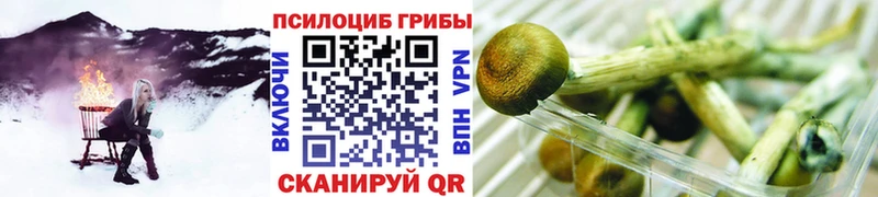 Псилоцибиновые грибы Cubensis  blacksprut онион  Макушино 